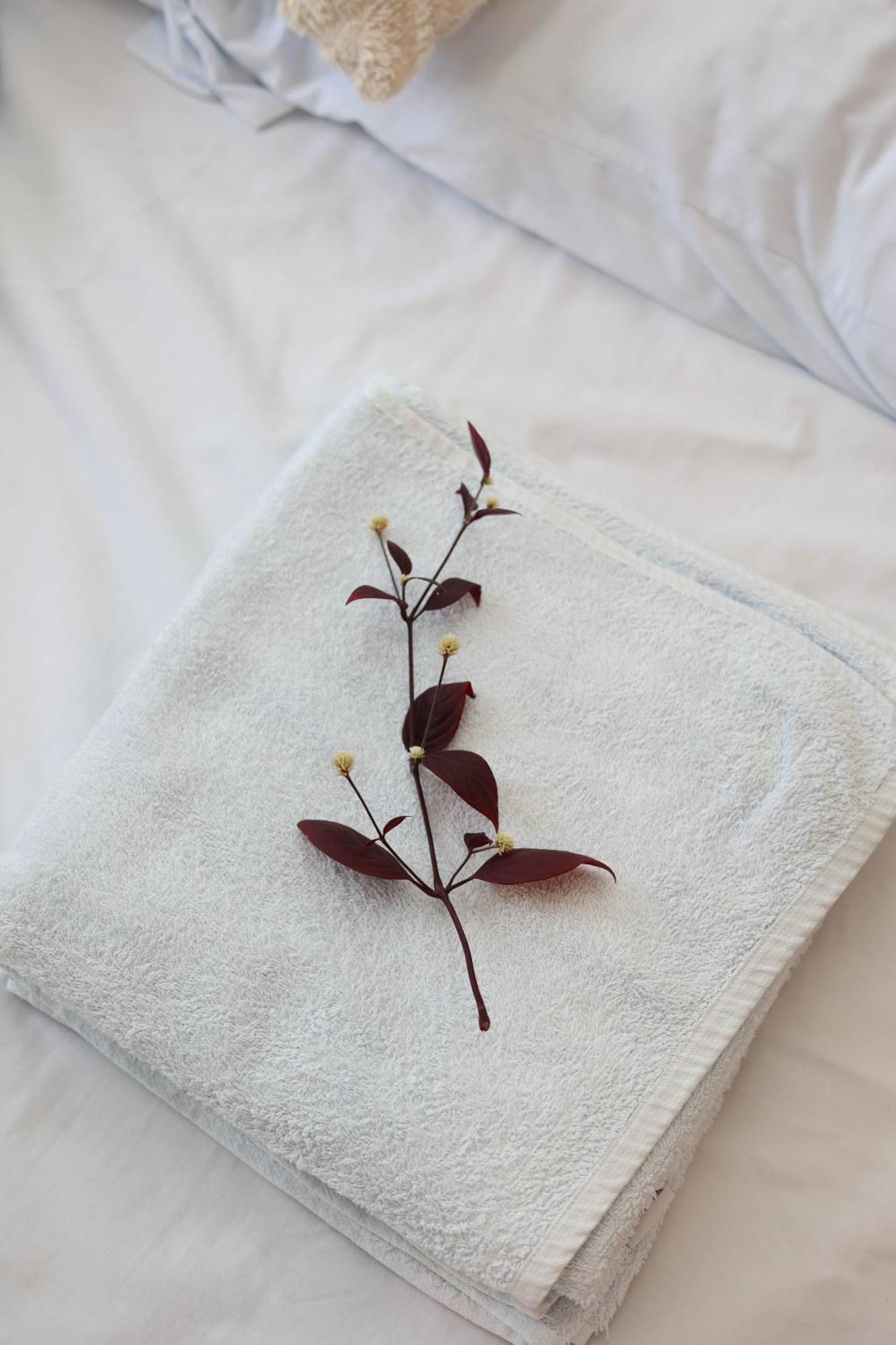 Apartamento 22 バカラル エクステリア 写真